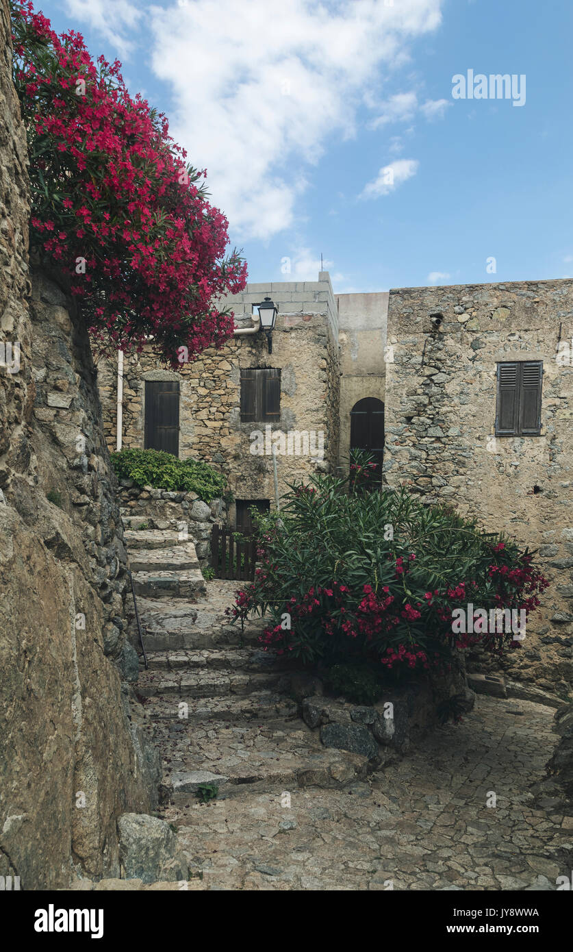 Sant'Antonino, Corsica, Francia Foto Stock