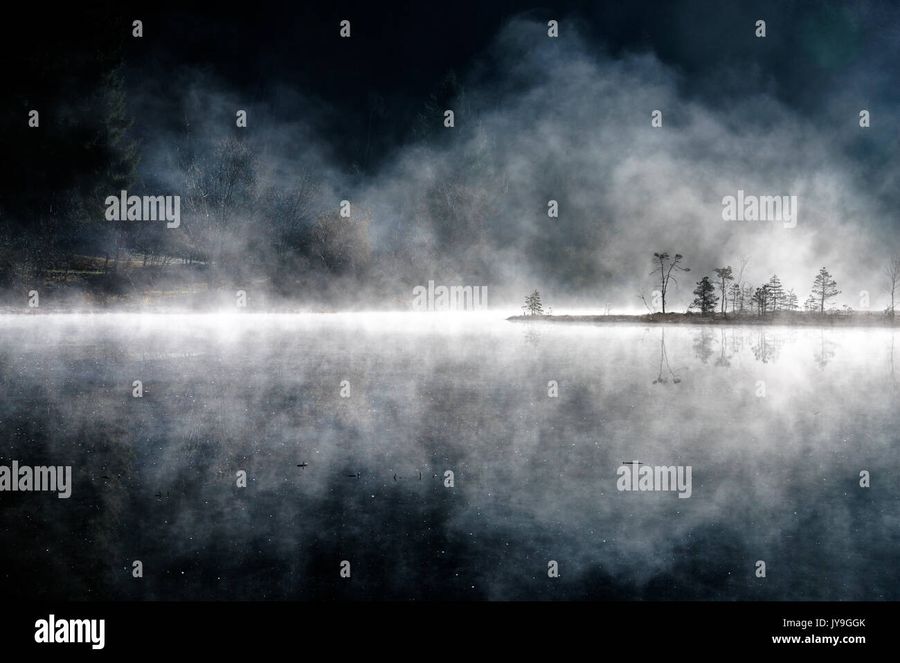 La nebbia illuminata dal sole nella riserva naturale di Pian di Gembro. aprica. valcamonica. valtellina lombardia italia Europa. Foto Stock
