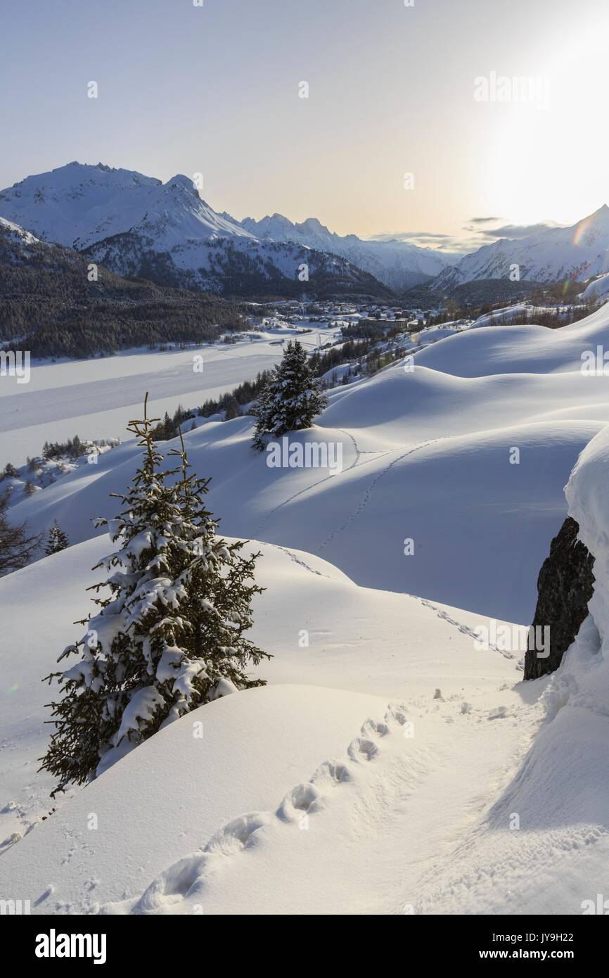 Escursioni con le racchette da neve Orme nella neve profonda dopo una nevicata presso il Passo del Maloja e il cantone dei Grigioni. Engadina. svizzera. l'Europa Foto Stock