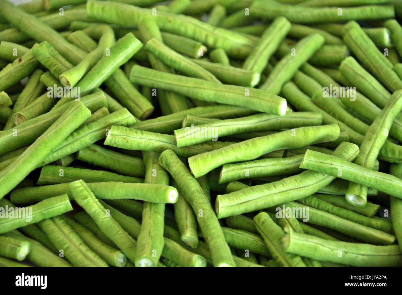 Yardlong Fave vengono a rapida crescita e controllo giornaliero/raccolta è spesso una necessità. Foto Stock