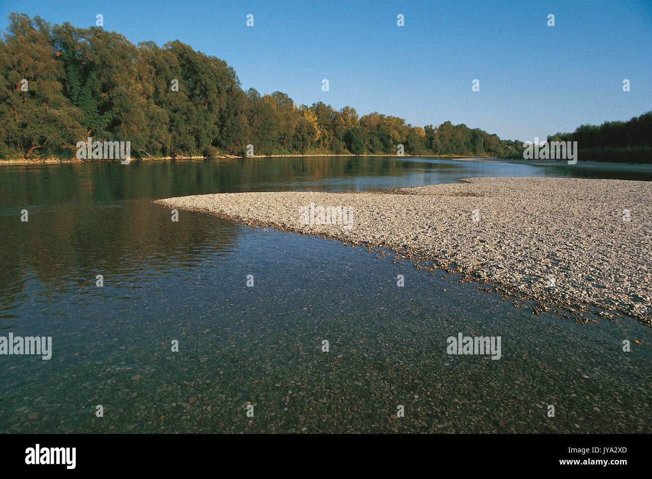 Barre di ghiaia sul fiume Drava, Croazia Foto Stock