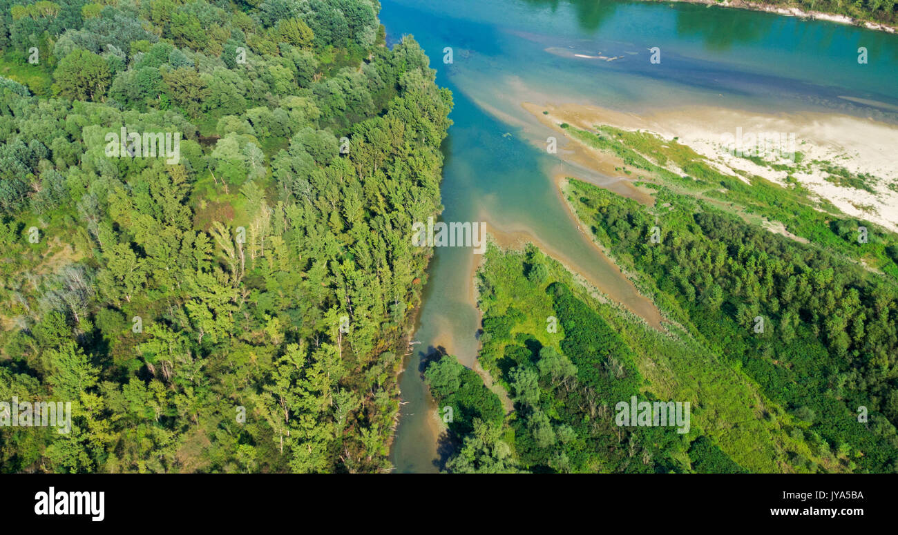 Alluvione naturale nella pianura alluvionale del fiume Drava Foto Stock