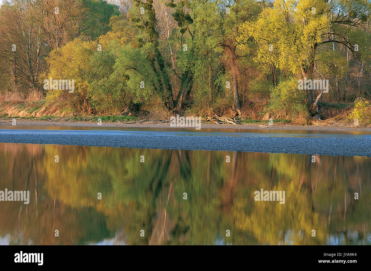 La molla sul fiume Mura Foto Stock