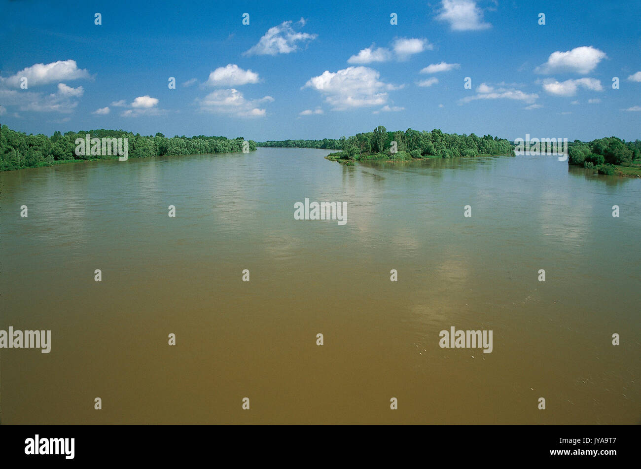 Il fiume Drava in Croazia Foto Stock