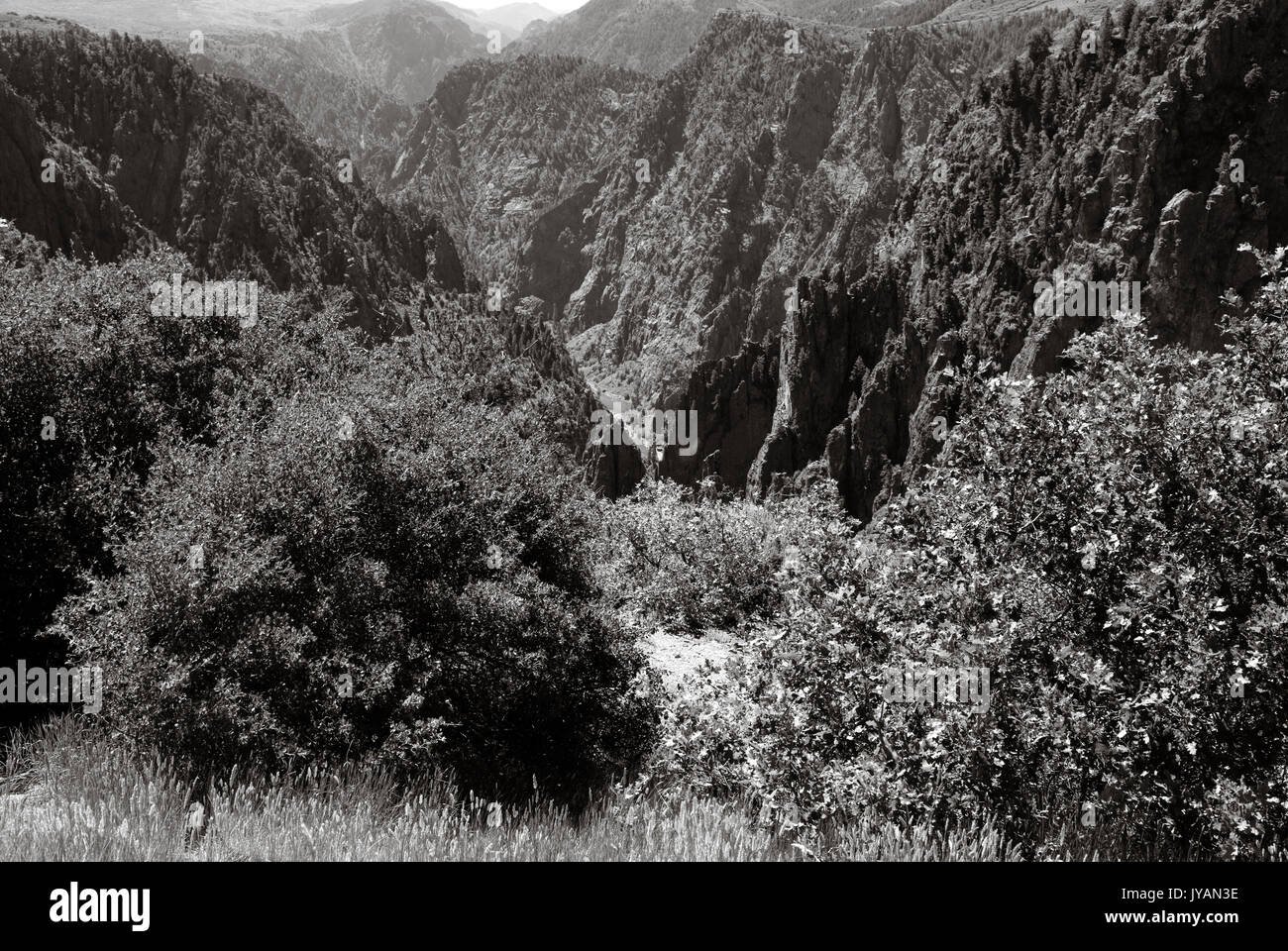 Foto in bianco e nero del Black Canyon National Park Tomichi punto, Montrose, Colorado, Stati Uniti d'America. Foto Stock