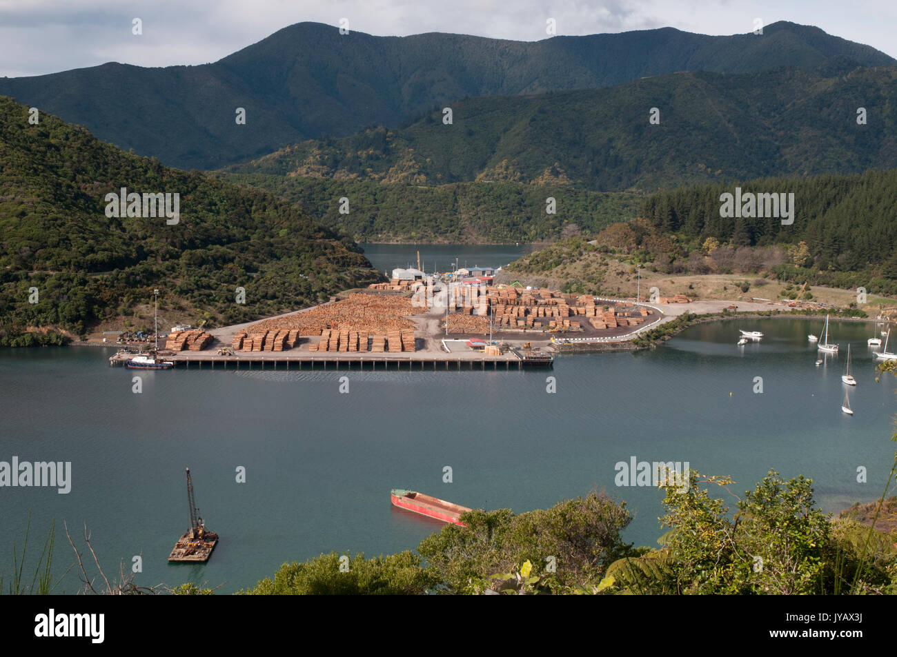 Logs impilati sul pontile Waimahara su Queen Charlotte Sound, Picton, Nuova Zelanda, la lettura per la spedizione Foto Stock