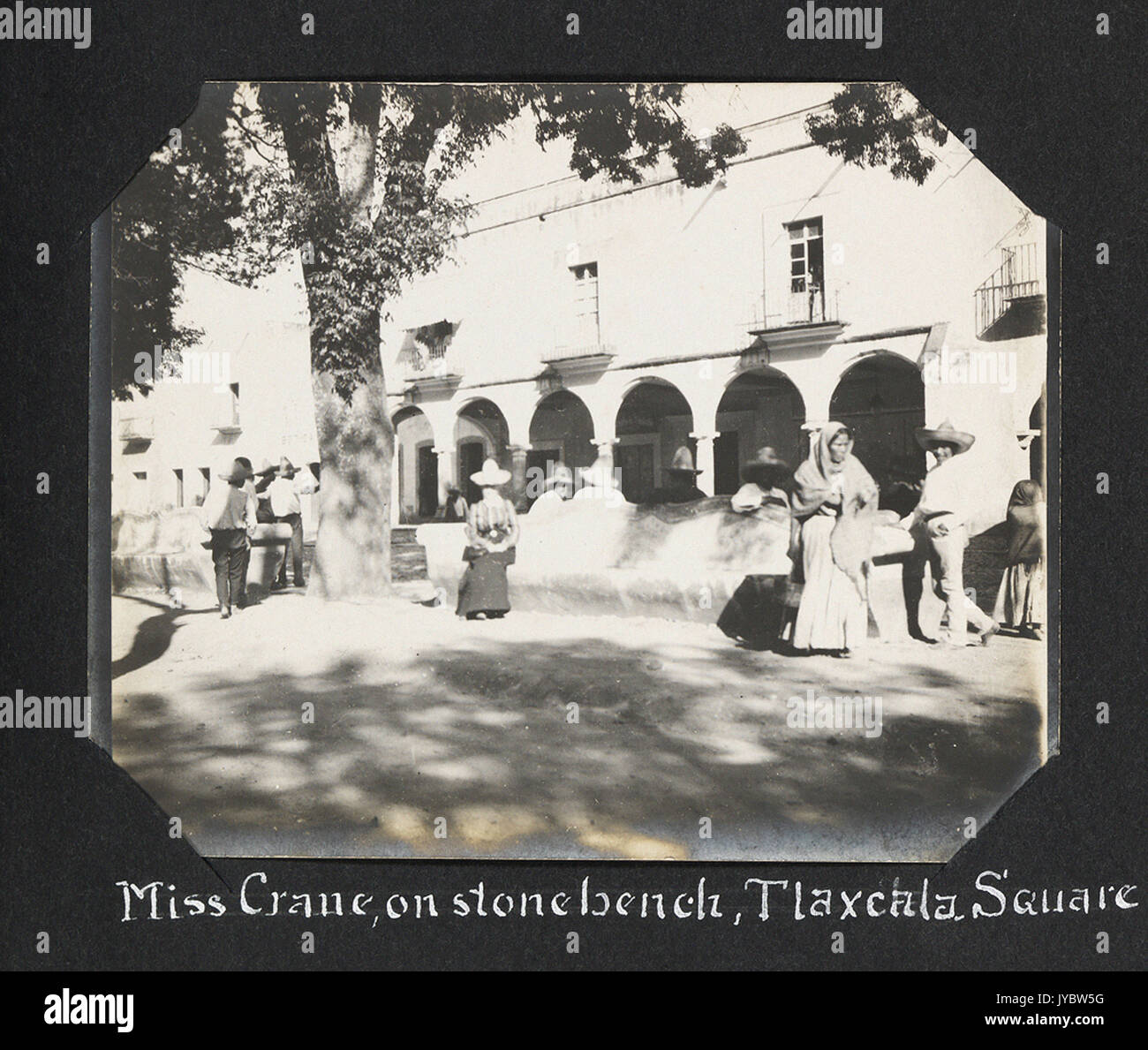 Miss gru, sul banco di pietra, Tlaxcala Square Foto Stock