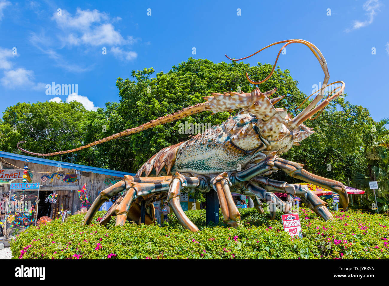 Betsy il 30 piedi di altezza, 40-piede-lungo l'aragosta alla canna di pioggia villaggio artigianale in Islamorada chiave in Florida Keys Foto Stock