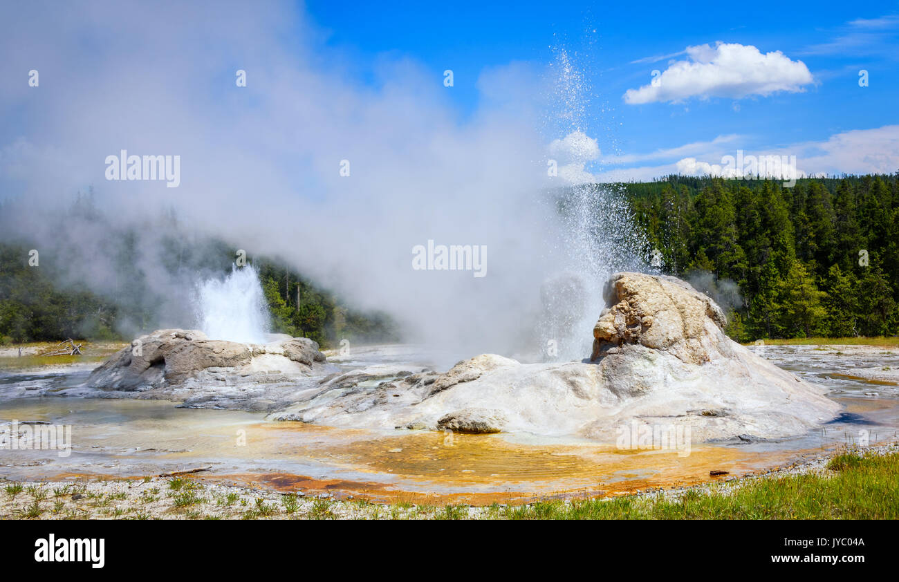 Vapore e acque ruggenti che si eleva al di sopra del grande sfogo di Grotto Geyser in Upper Geyser Basin. Il parco nazionale di Yellowstone Foto Stock