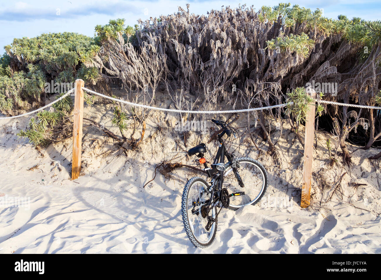 Miami Beach Florida, sabbia, duna, bicicletta, corda recinzione, visitatori viaggio viaggio turismo turistico punto di riferimento cultura culturale, vacanza gruppo peo Foto Stock