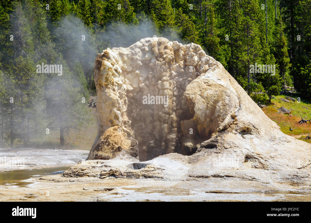 Vista dettagliata del geyser gigante in Upper Geyser Basin, il parco nazionale di Yellowstone Foto Stock