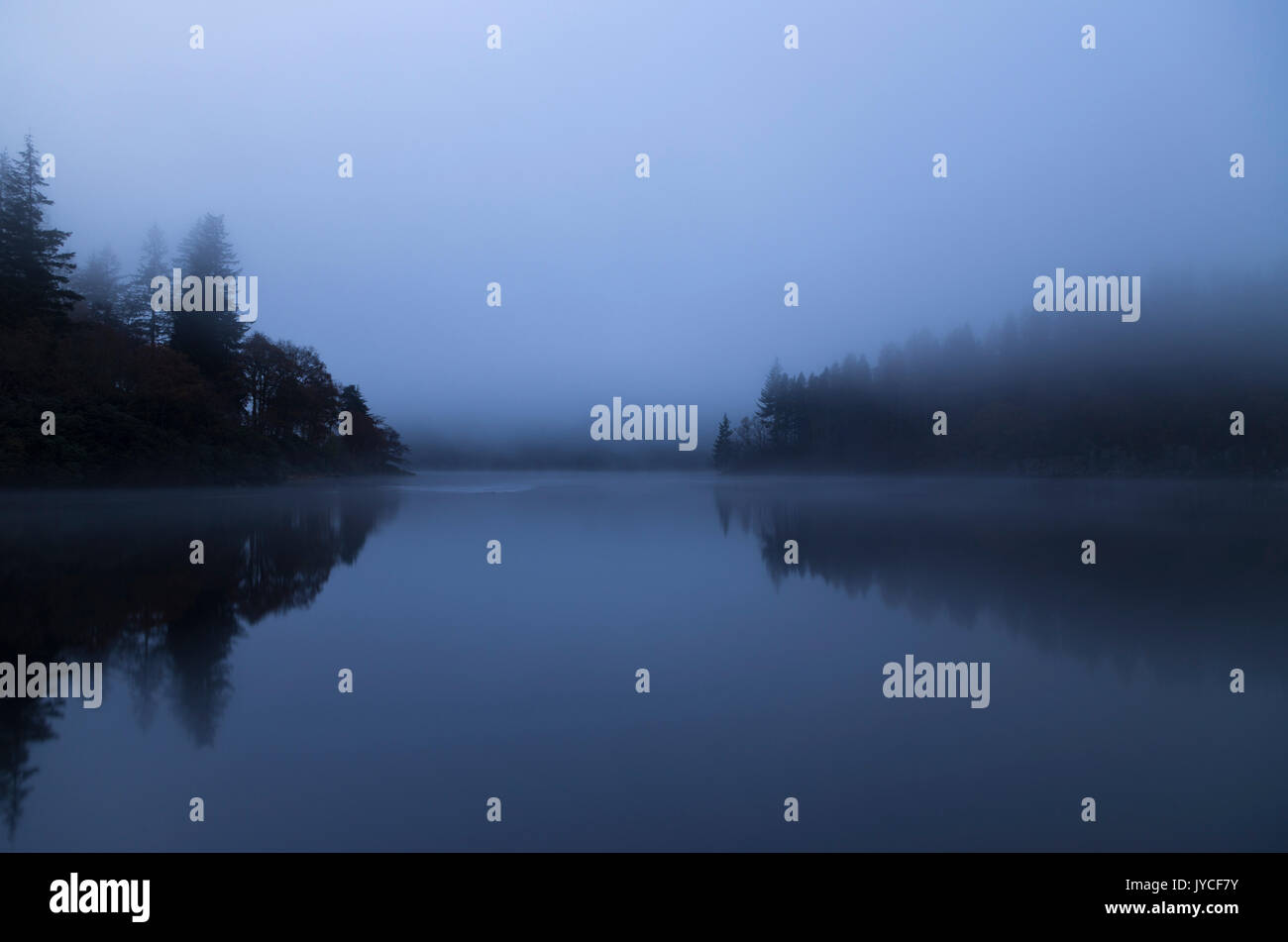 Fredda mattina nebbia a Loch Ard, Il Trossachs, Scozia, GB Foto Stock
