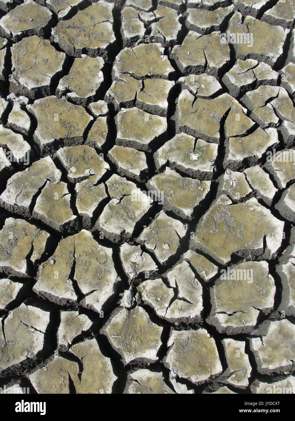 Fango di lago asciutto Foto Stock