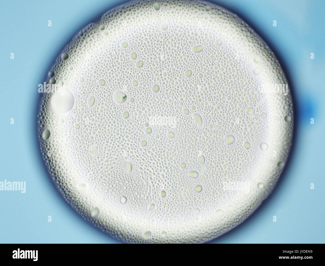 Campo luminoso micrografia di luce di una bolla d'aria, diametro  0.3mm, ingrandimento è 373x quando stampata 10cm di larghezza Foto Stock