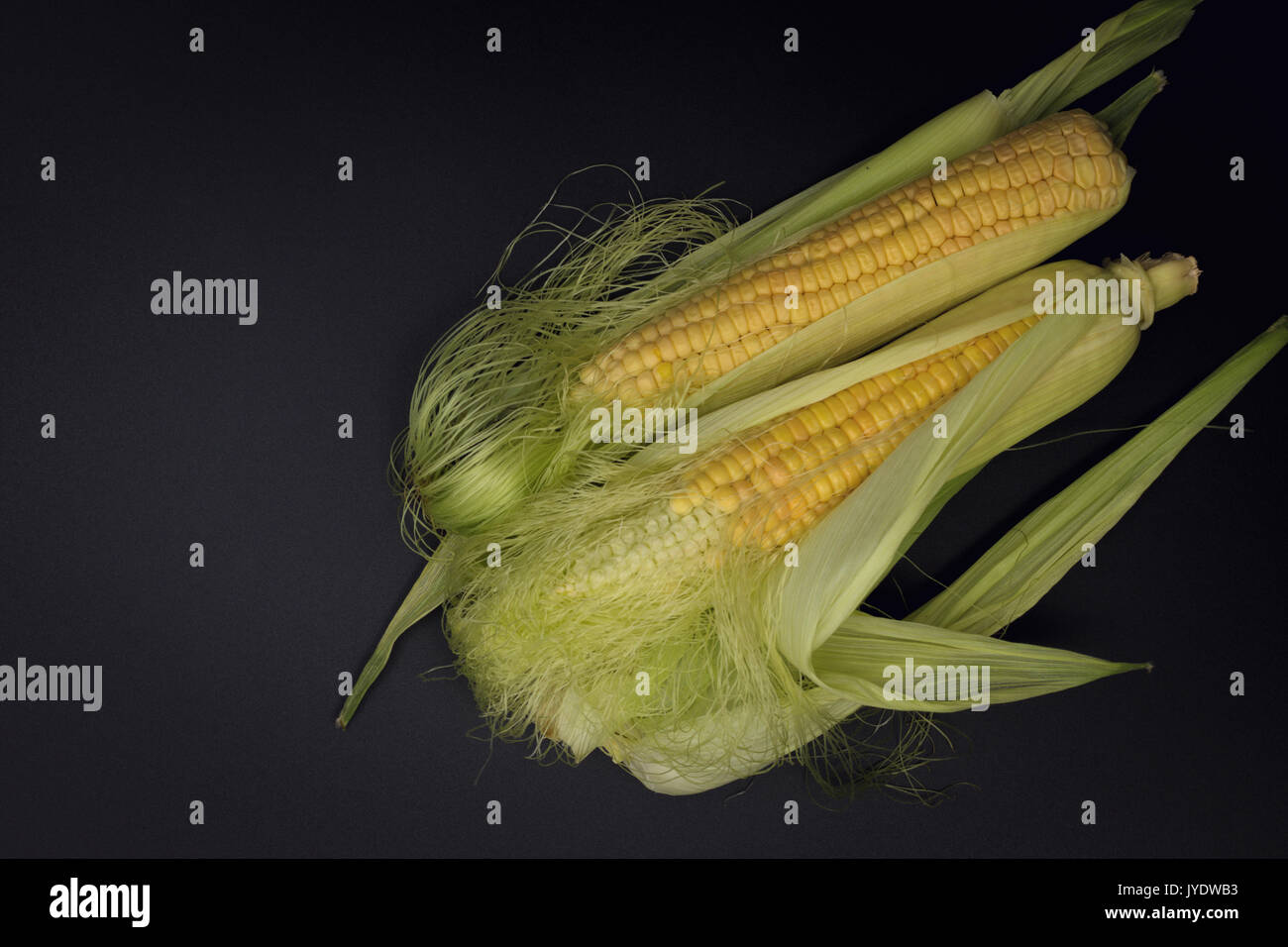 Vero e proprio organico raccolto i duroni in lolla su sfondo nero Foto Stock