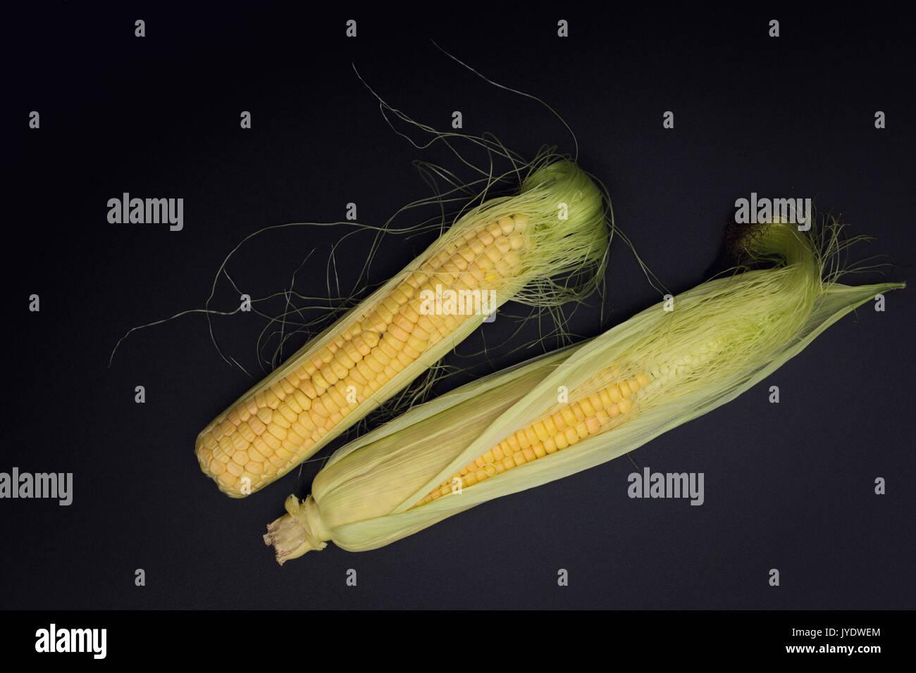 Vero e proprio organico raccolto i duroni in lolla su sfondo nero Foto Stock