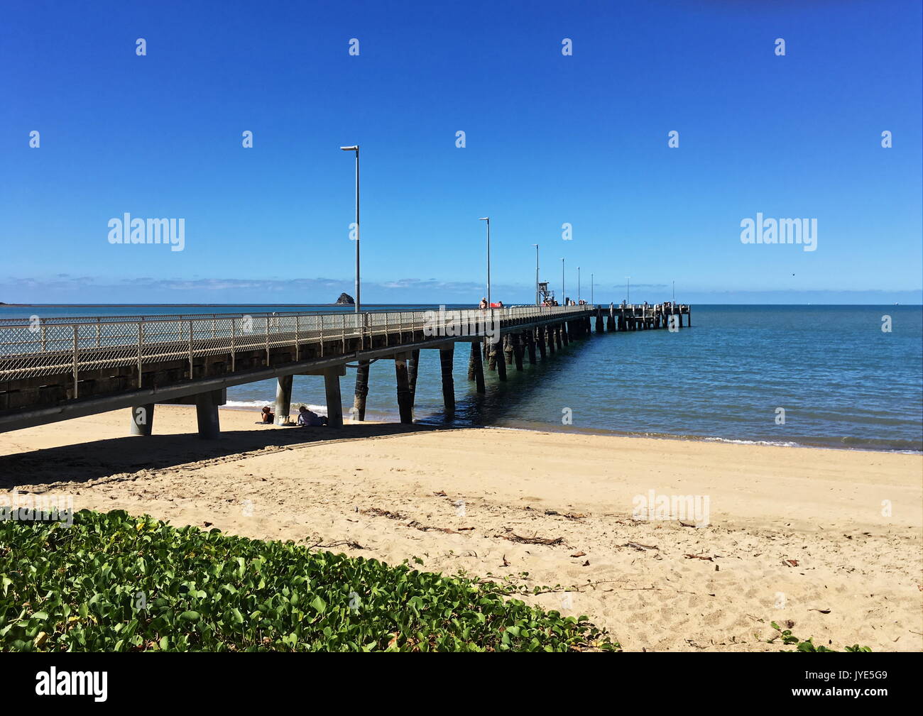 Il popolare jetty e piattaforma di pesca fuori dalla estremità superiore della bella Palm Cove Beach via Cairns in stato australiano del Queensland Foto Stock
