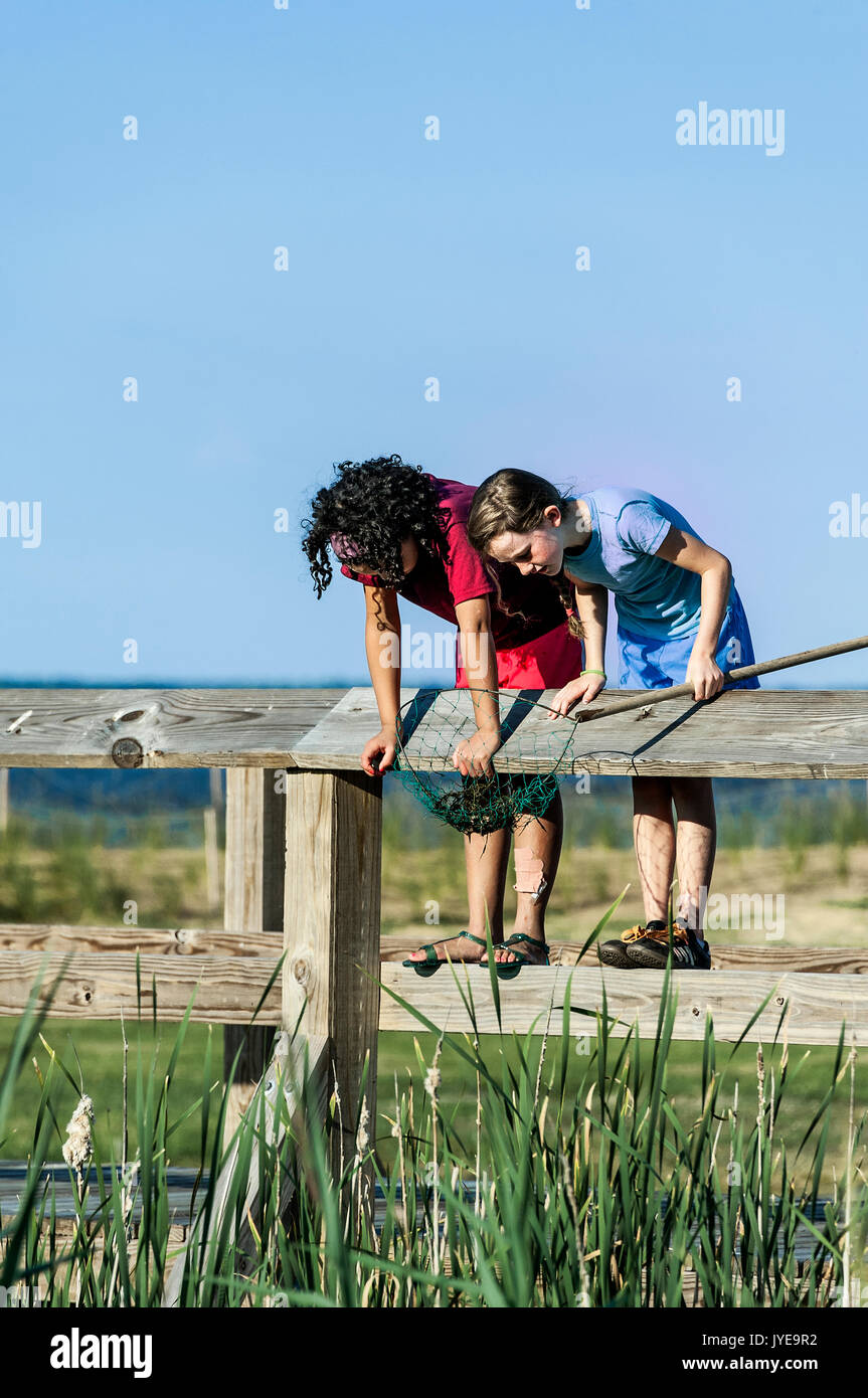 Amiche alla ricerca di granchi, Outer Banks, North Carolina, Stati Uniti d'America. Foto Stock