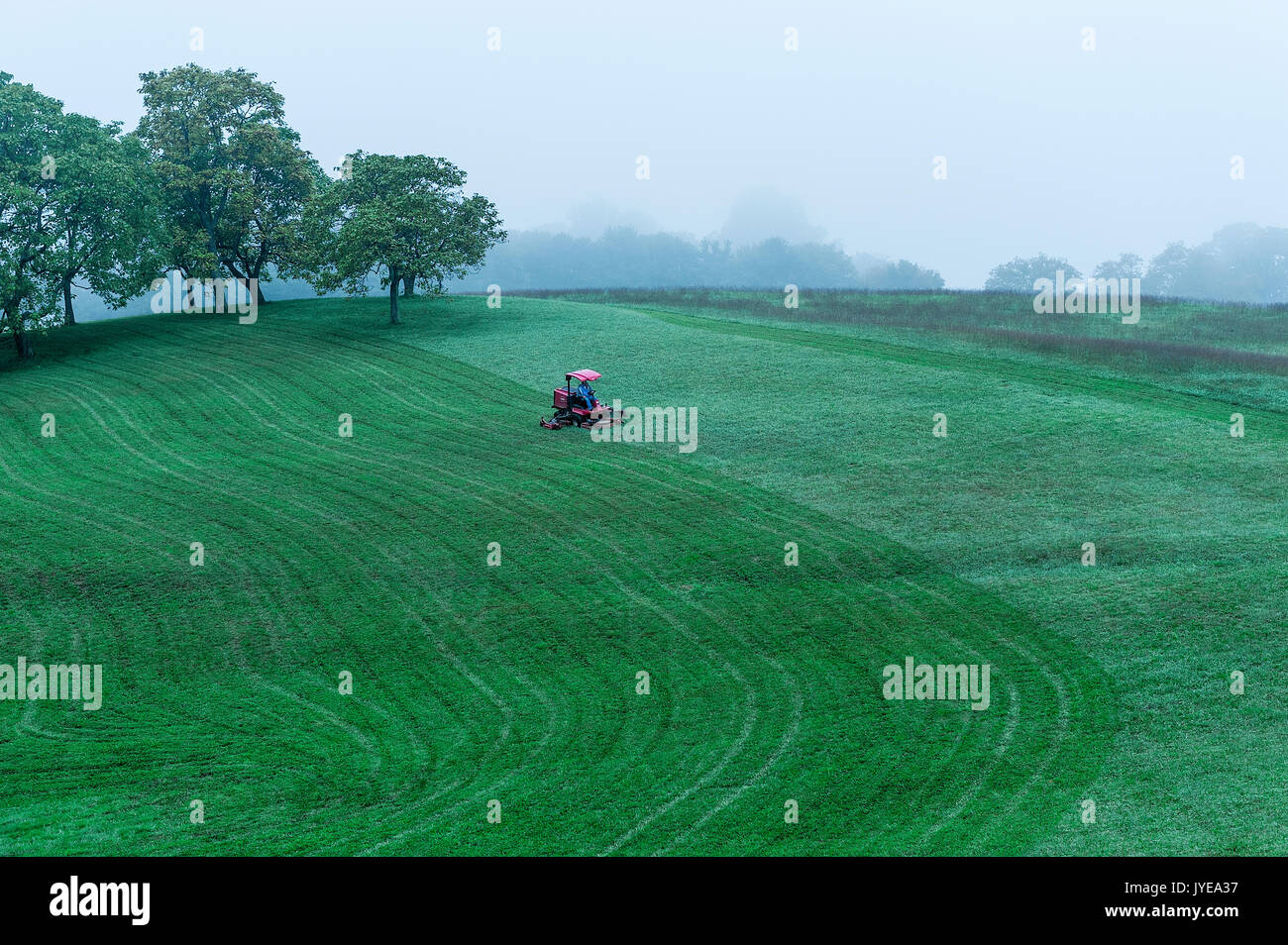 Trattore tosaerba per taglio di un ampio campo di erba. Foto Stock