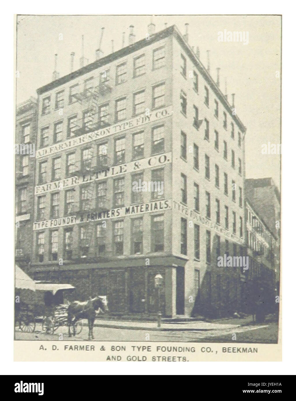 (Re1893NYC) PG976 A. D. AGRICOLTORE & FIGLIO TIPO FONDAZIONE CO., BEEKMAN E STRADE D'ORO Foto Stock