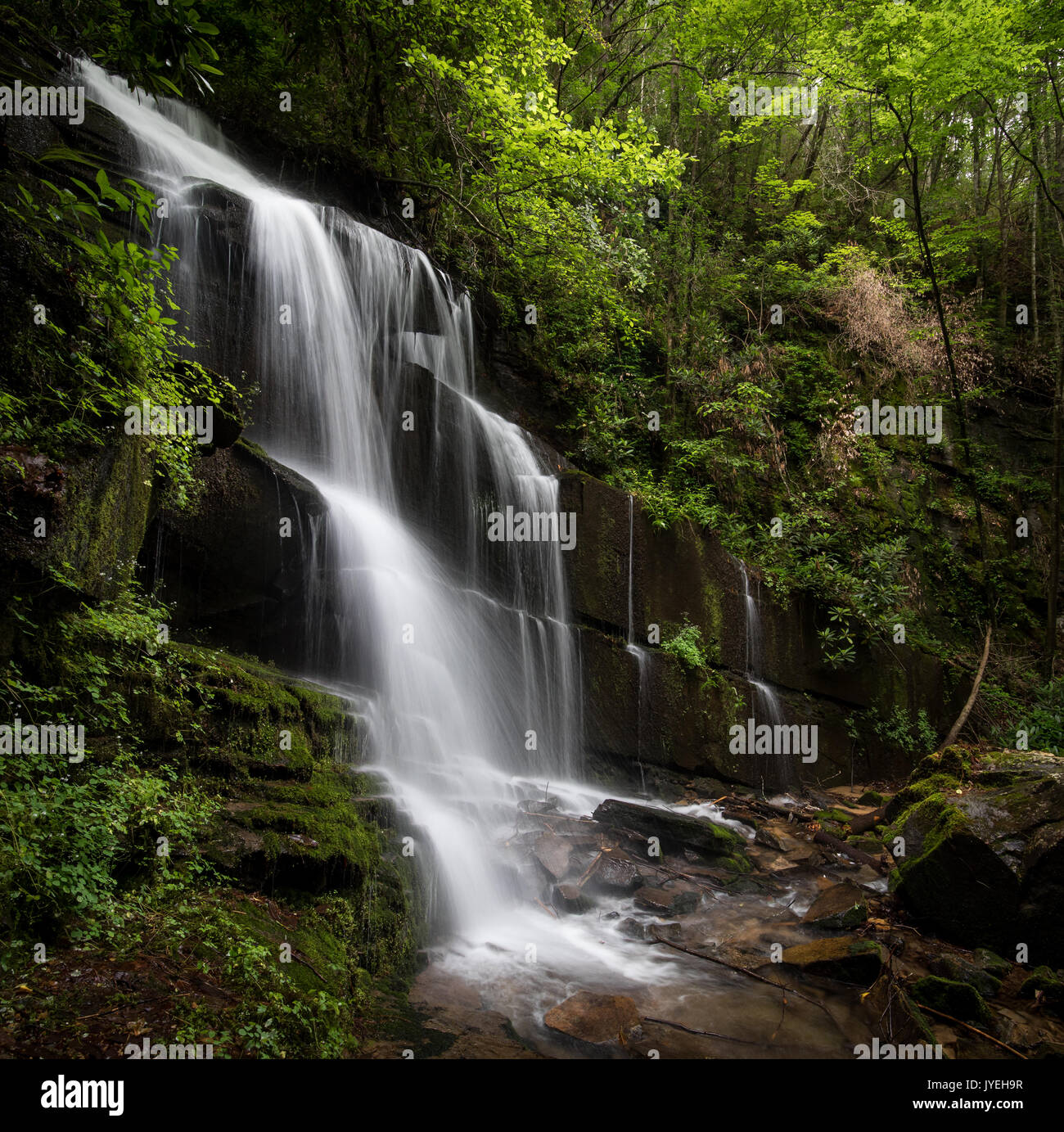 Bad ramo ha le sue sorgenti sul lato nord della montagna Oakey, appena dietro l'angolo da Crow Creek. Entrambi i flussi vuota nel vicino lago di seme. Le cascate sono essi stessi situato in una baia isolata e sono in ombra la gran parte della giornata. Essi sono di circa 17 m. alto e sono meglio visualizzati quando il flusso di acqua è da moderato a elevato. Durante i mesi secchi possono diventare un mero trickle. Foto Stock