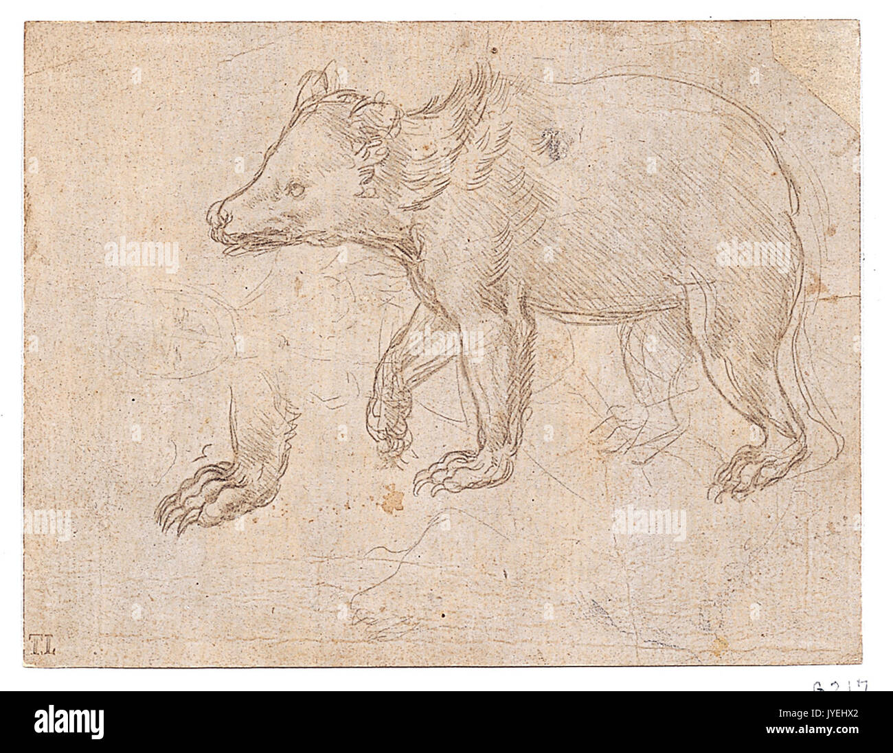 Un orso si è riunito a piedi 46H 094R3 Foto Stock