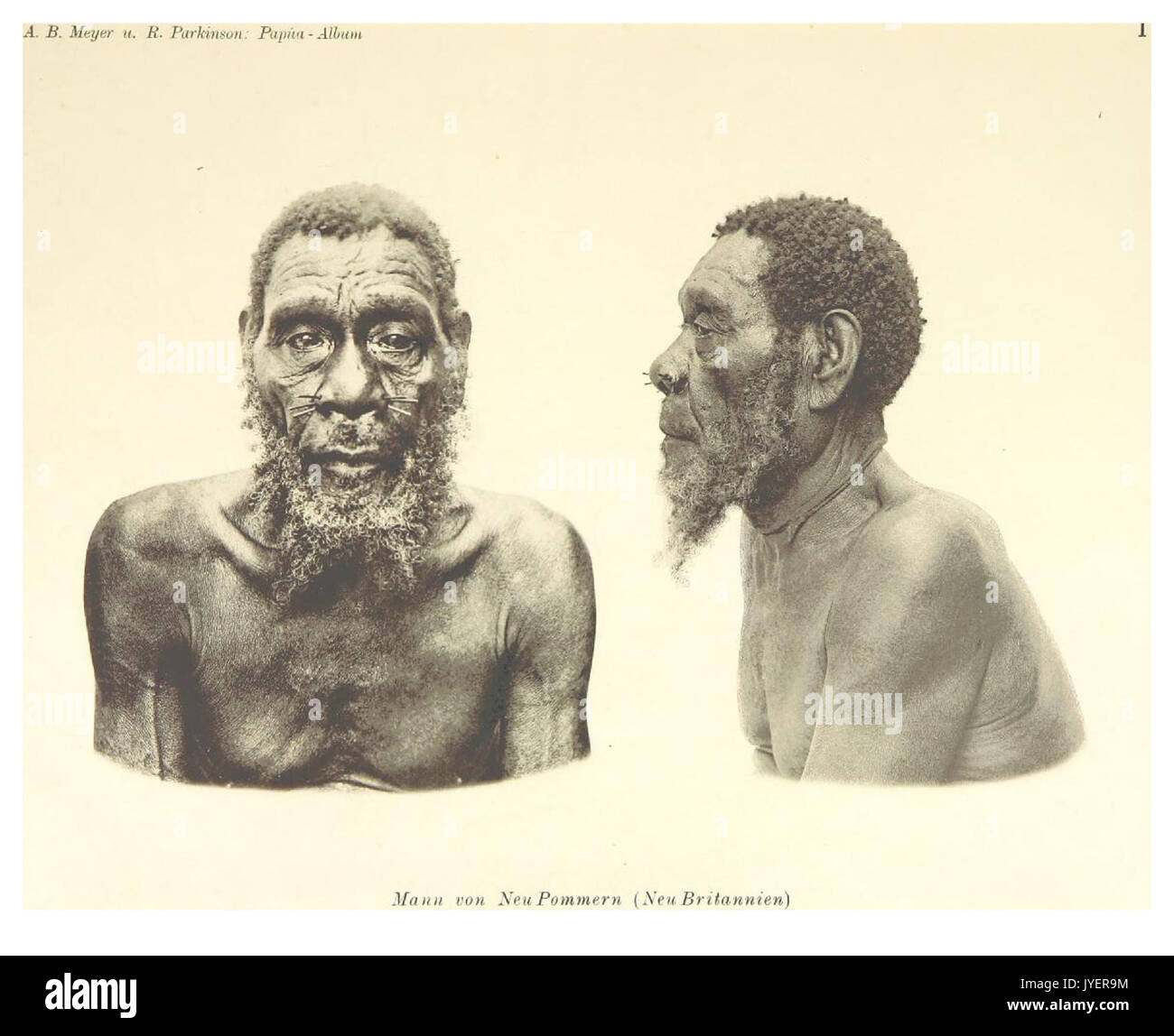 PAPUA Typen, Tafel 1 Foto Stock