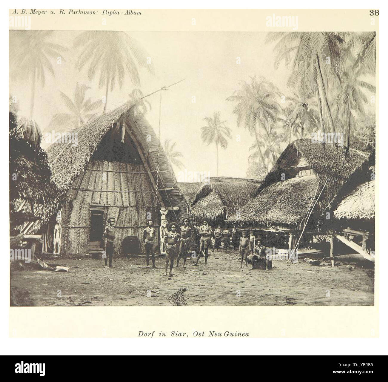 PAPUA Typen, Tafel 38 Foto Stock