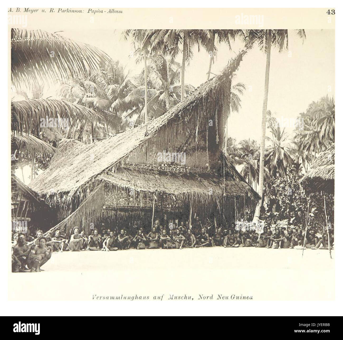 PAPUA Typen, Tafel 43 Foto Stock