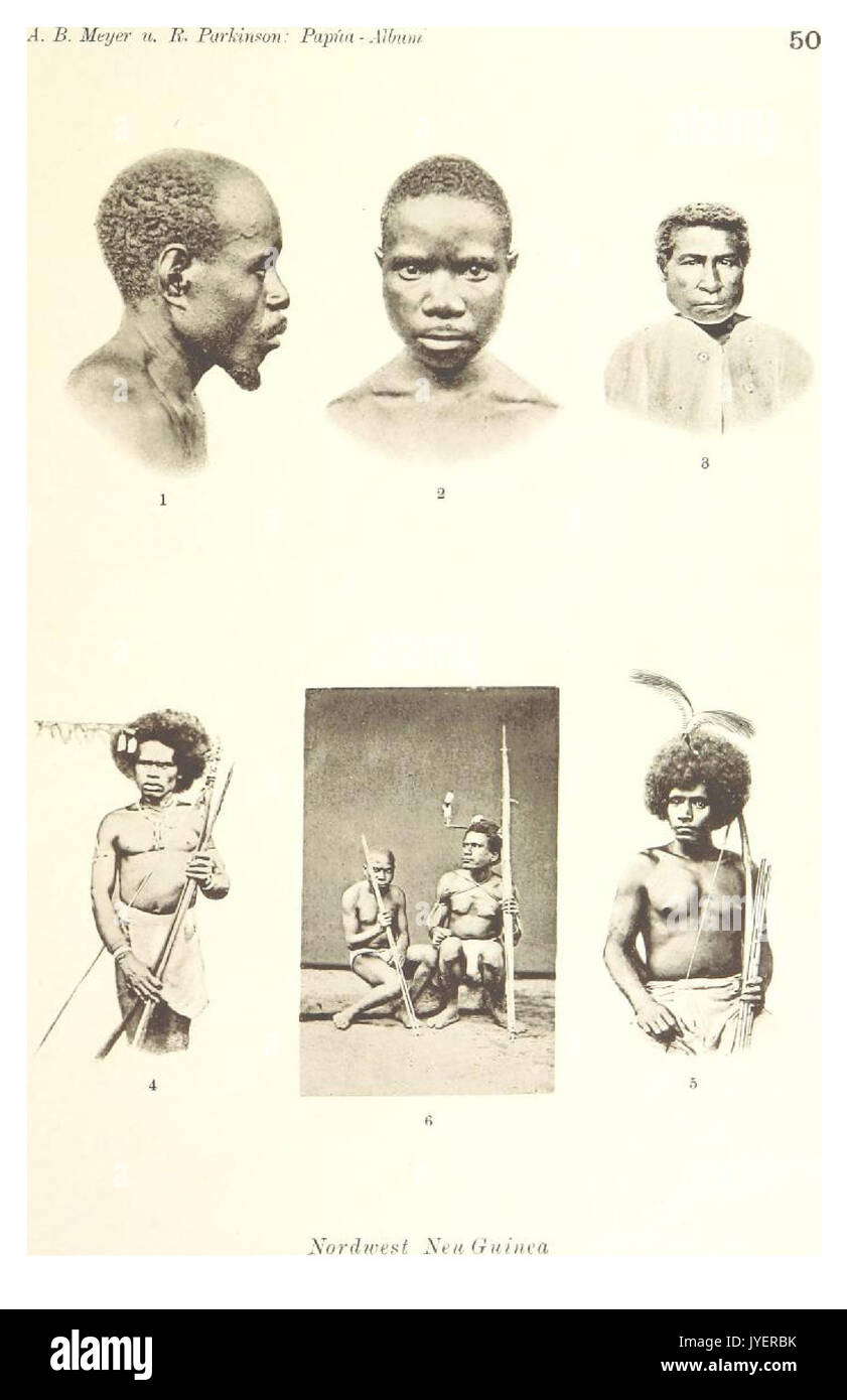 Una targa tipologica raffigurante vari tipi di persone di Papua, che mostra la diversità delle culture e delle caratteristiche fisiche della regione. Si tratta di un documento visivo che fornisce informazioni sui gruppi indigeni e sulle loro caratteristiche in Papua nuova Guinea. Foto Stock