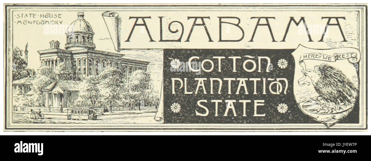 Noi AL(1891) p029 piantagione di cotone membro Foto Stock