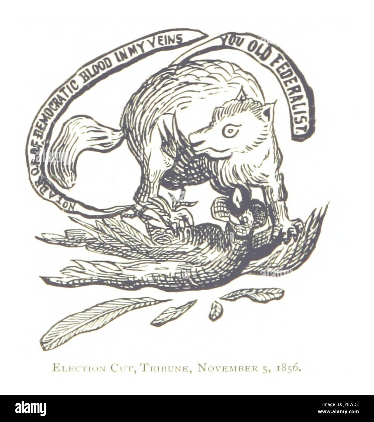 Imprenditore(1884) p162 elezione taglio,tribune, novembre 5,1856 Foto Stock