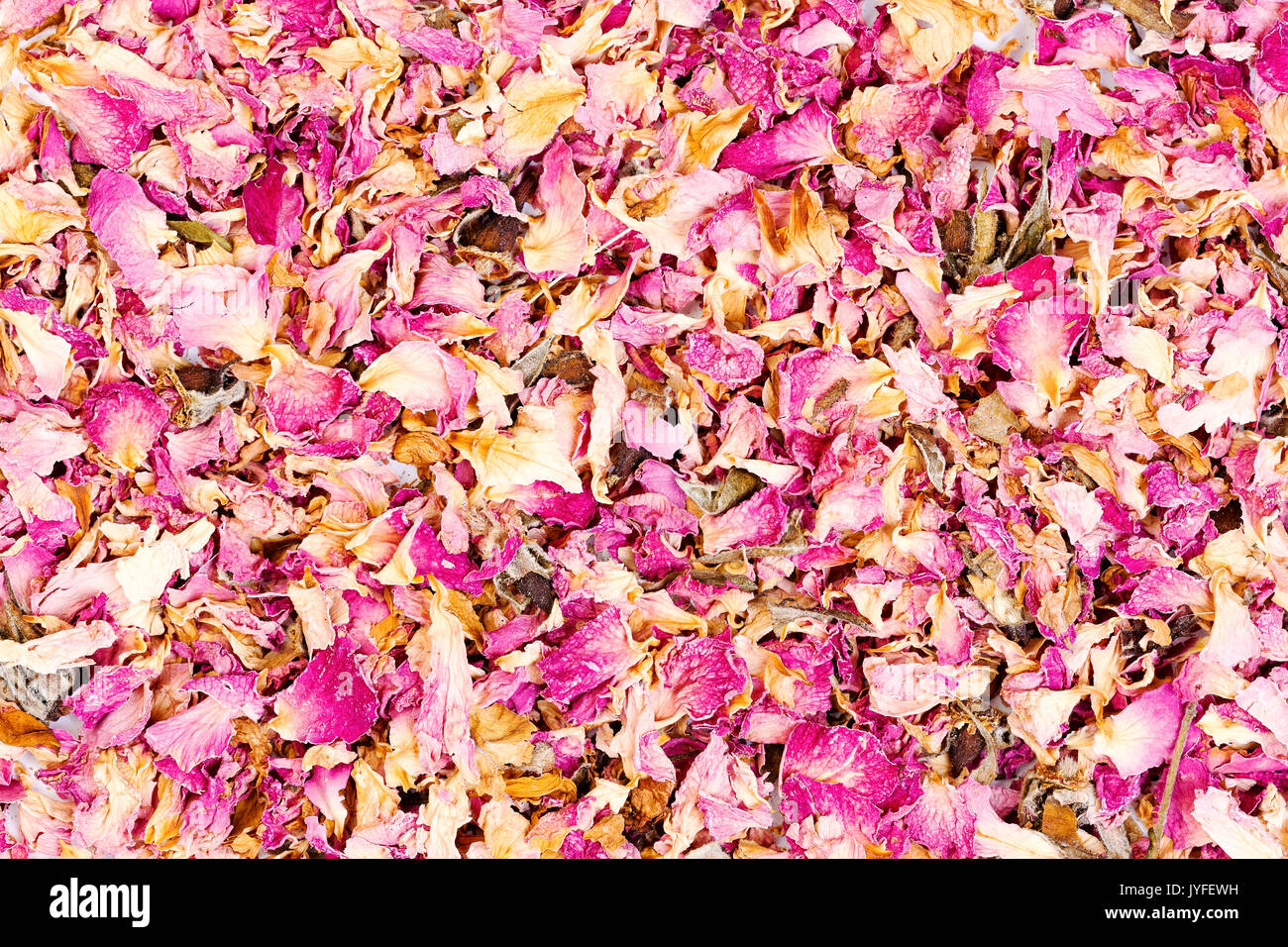 Essiccati petali di rosa close-up dello sfondo. Foto ad alta risoluzione. Foto Stock