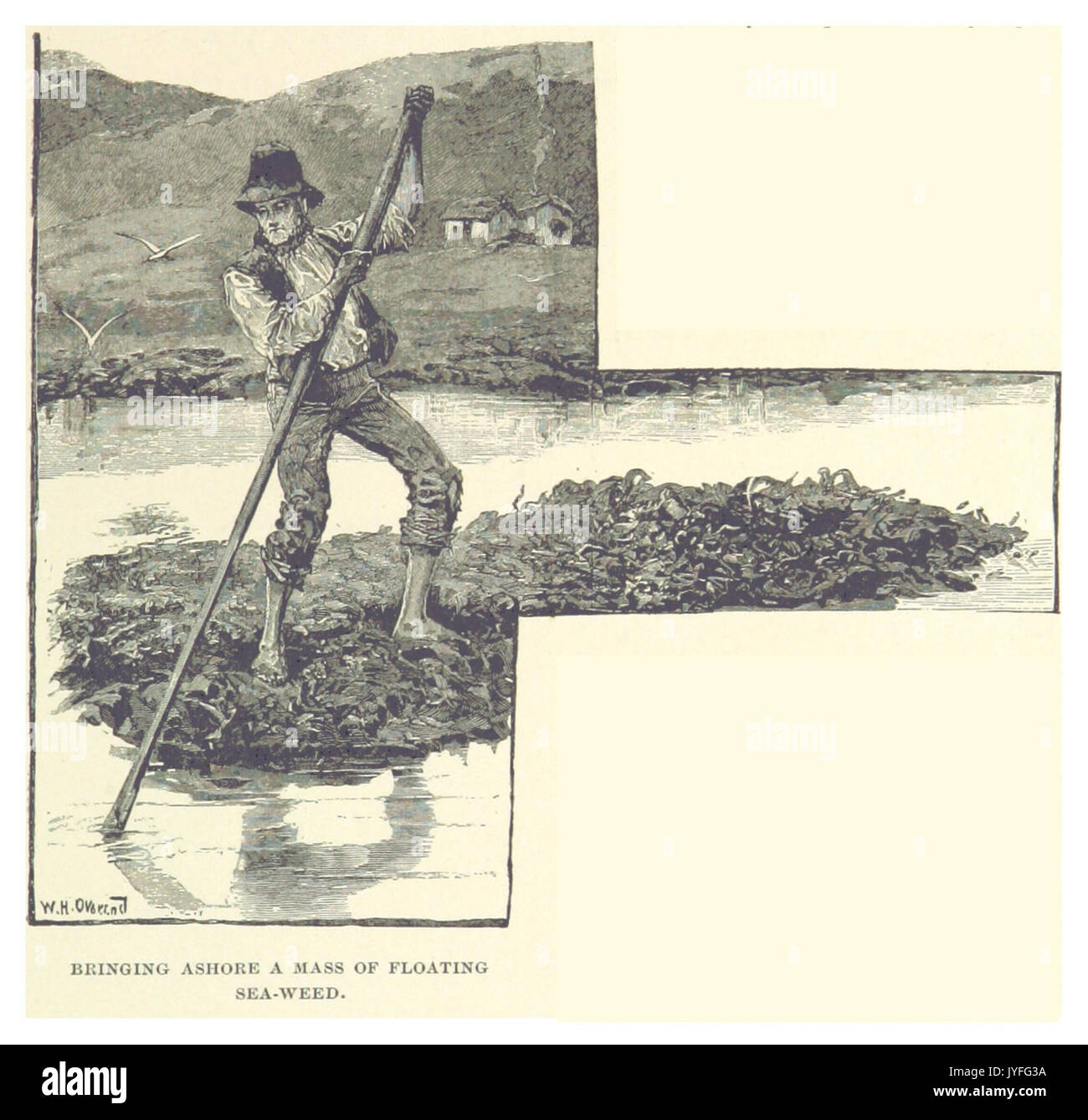 Il francese(1891) p167 PORTANDO A TERRA UNA MASSA FLOTTANTE DI ALGHE Foto Stock Il francese(1891) p167 PORTANDO A TERRA UNA MASSA FLOTTANTE DI ALGHE Foto Stock