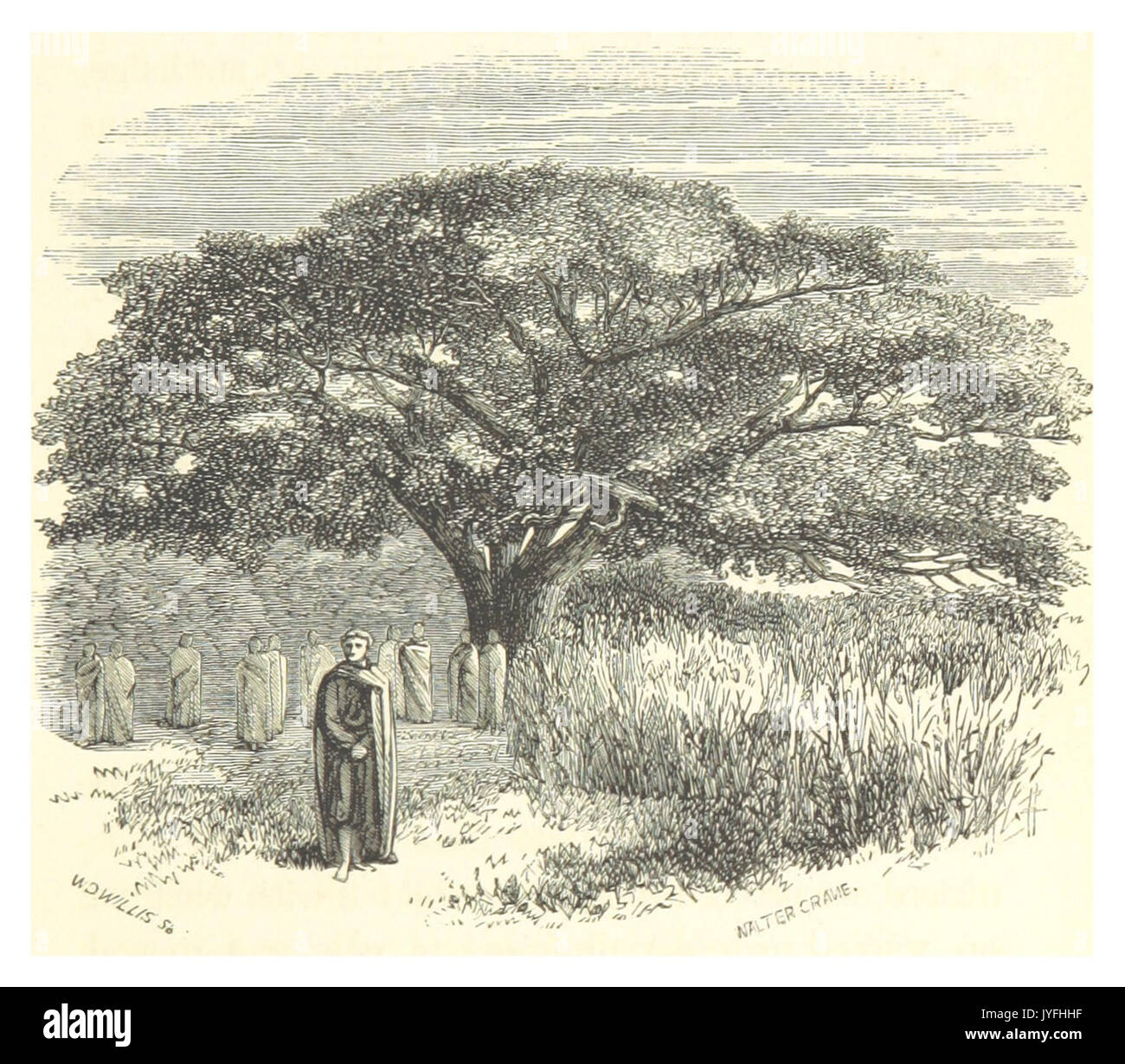 STERN(1862) p305 la scimmia albero del pane Foto Stock