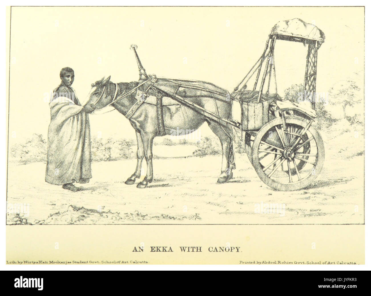 GRIERSON(1885) p100 UN EKKA con baldacchino Foto Stock