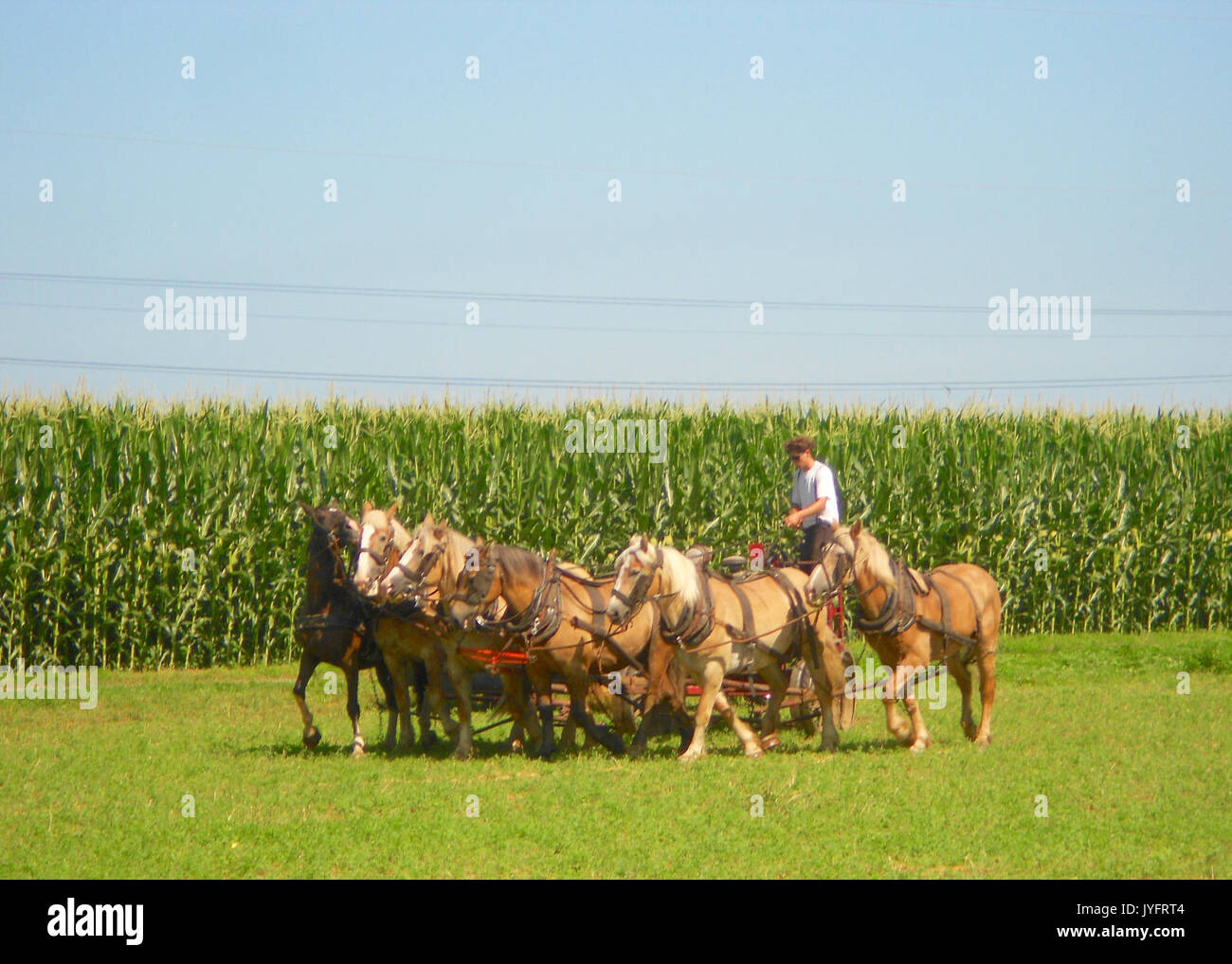 6 cavalli team Oriente Lampeter TWP LanCo PA 1 Foto Stock