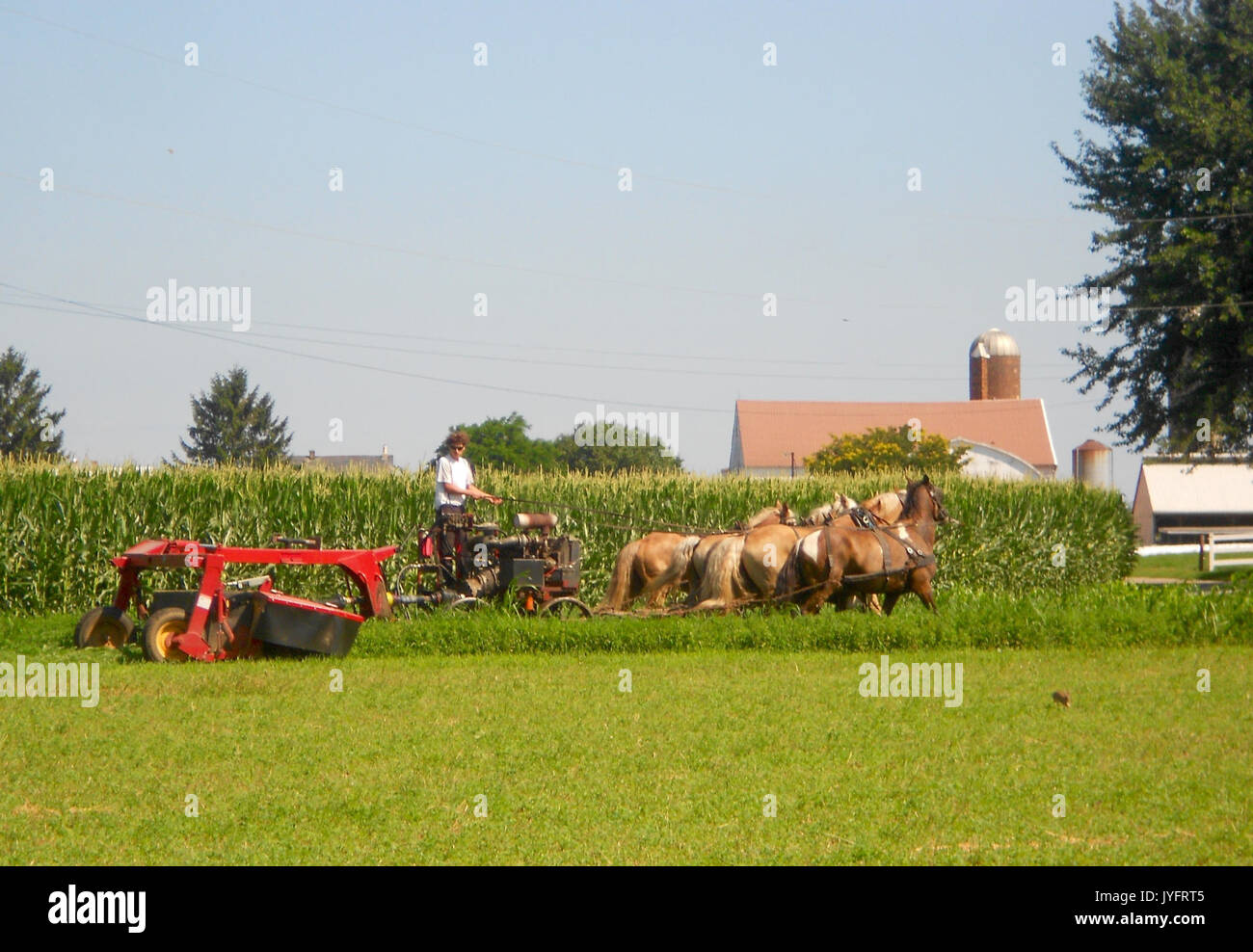 6 cavalli team Oriente Lampeter TWP LanCo PA 2 Foto Stock