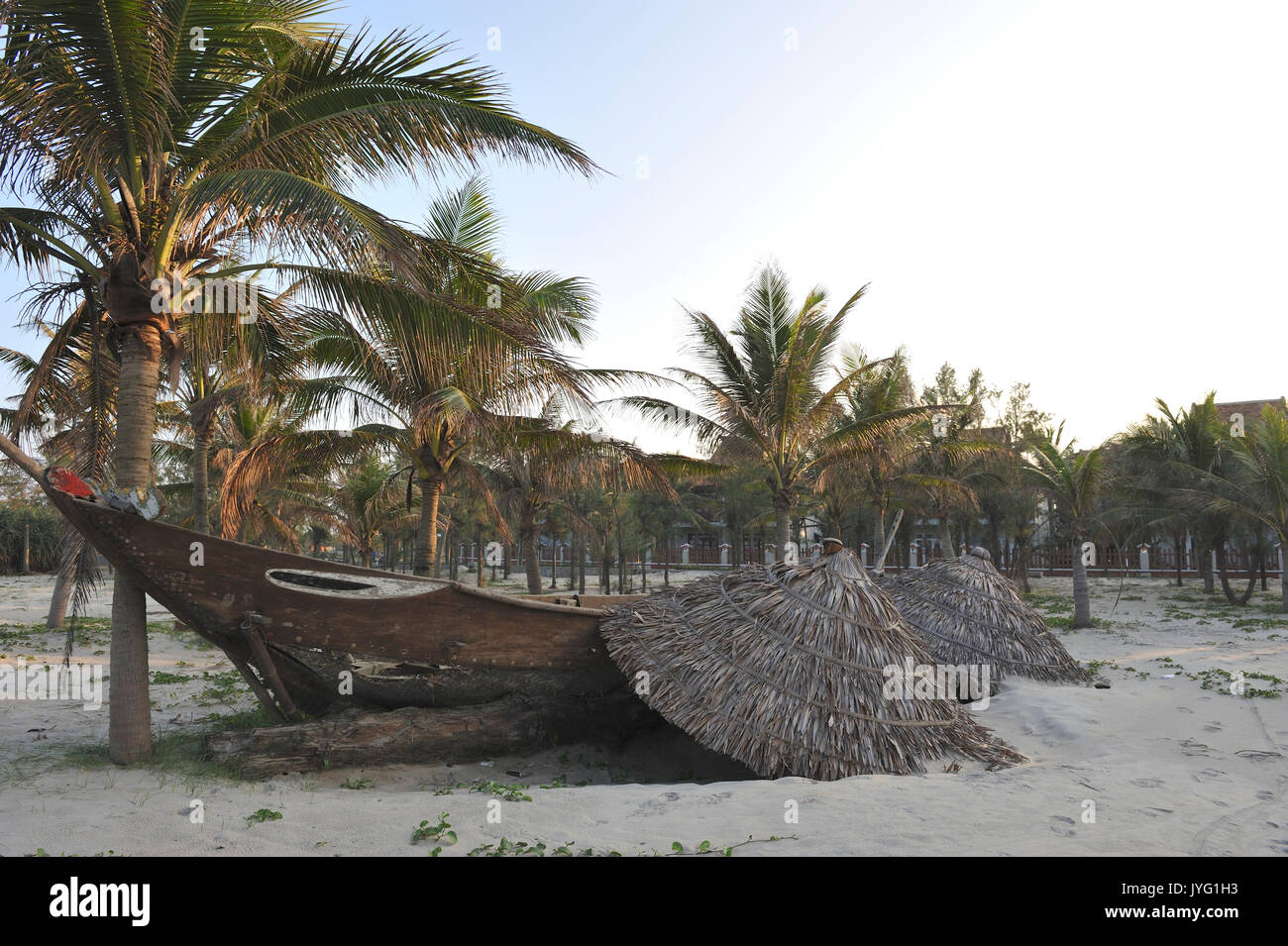 Barca in appoggio sulla sabbia sotto la struttura Palm Tree (Arecaceae) a Hoi An Beach. Hoi An. Il Vietnam Foto Stock