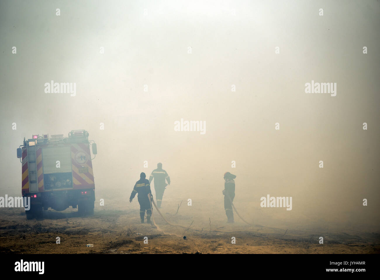 Pechino, Grecia. Il 15 agosto, 2017. Il lavoro dei vigili del fuoco nei pressi del villaggio di Kalamos, a nord di Atene, Grecia, il 15 agosto 2017. La Grecia ha chiesto la protezione civile europea di assistenza su Martedì per contribuire a combattere gli incendi boschivi che infuria nei pressi di Atene, un portavoce del servizio antincendio, Stavroula Malliri ha detto a un briefing con la stampa. Credito: Tatiana Polari/Xinhua/Alamy Live News Foto Stock