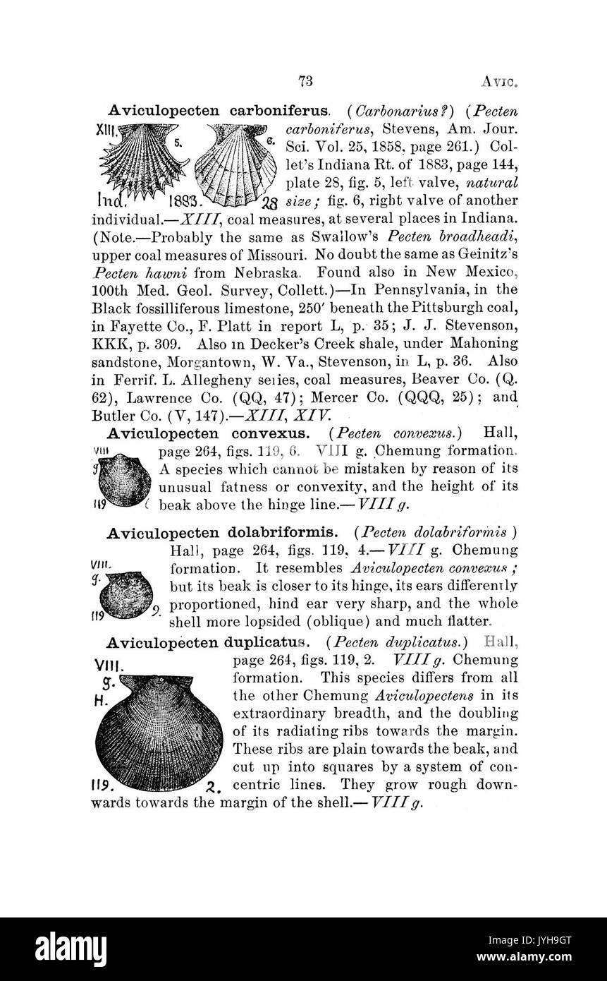 Un dizionario dei fossili di Pennsylvania e gli Stati limitrofi denominato nelle relazioni e nei cataloghi del sondaggio (pagina 73) BHL42416944 Foto Stock