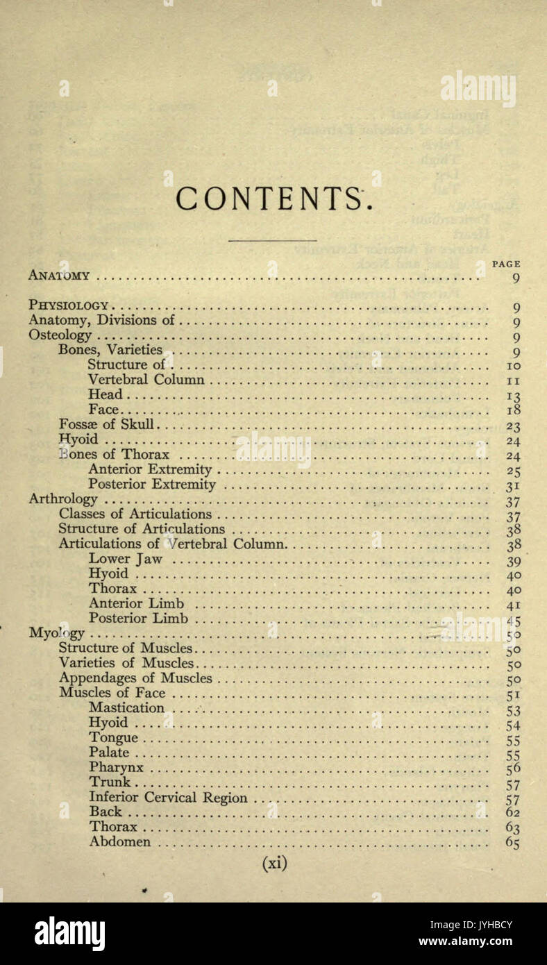 Un compend equino di anatomia e fisiologia pagina (xi) BHL22513924 Foto Stock
