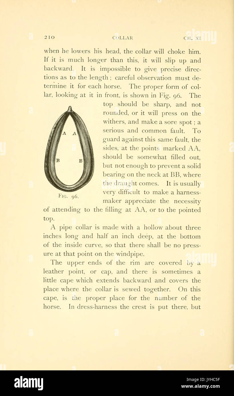 Un manuale di coaching (pagina 210) BHL22072671 Foto Stock