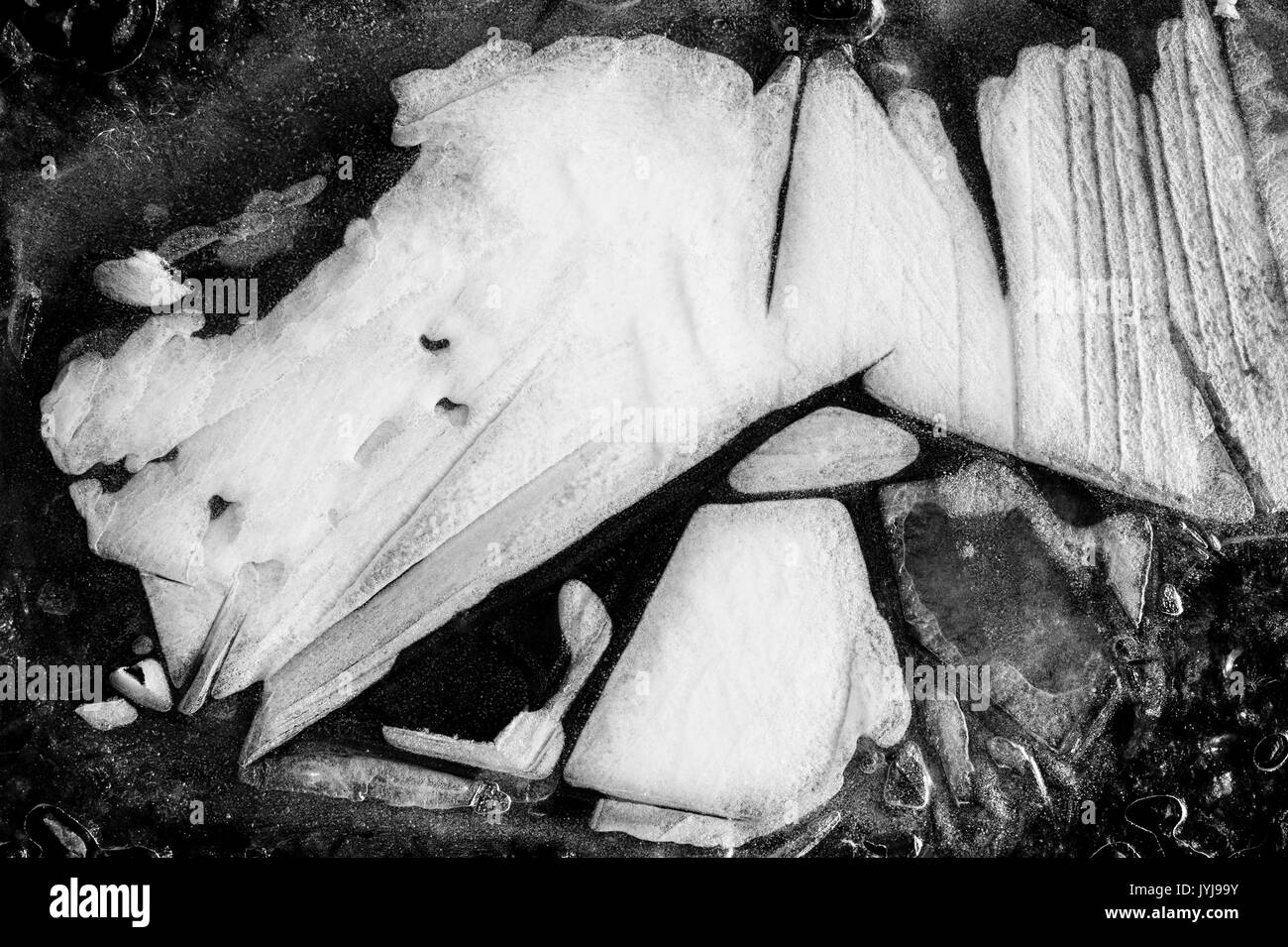 Pozzanghere congelate, fogli di modelli per la preparazione del ghiaccio, immagini astratte e disegni della natura Foto Stock