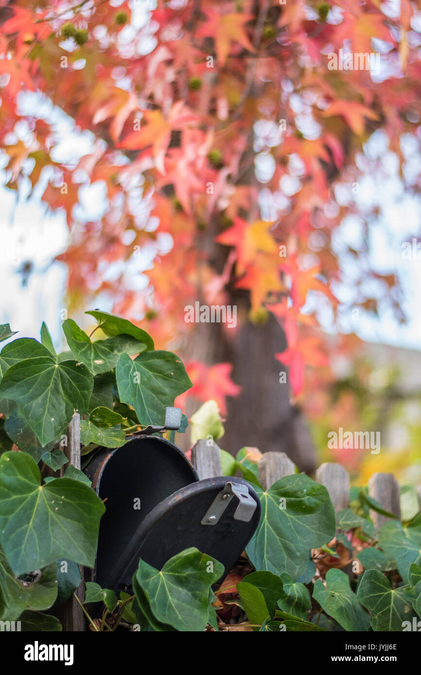 C'è posta per te! Autunno cadono le foglie in un quartiere vicino a una cassetta postale Foto Stock