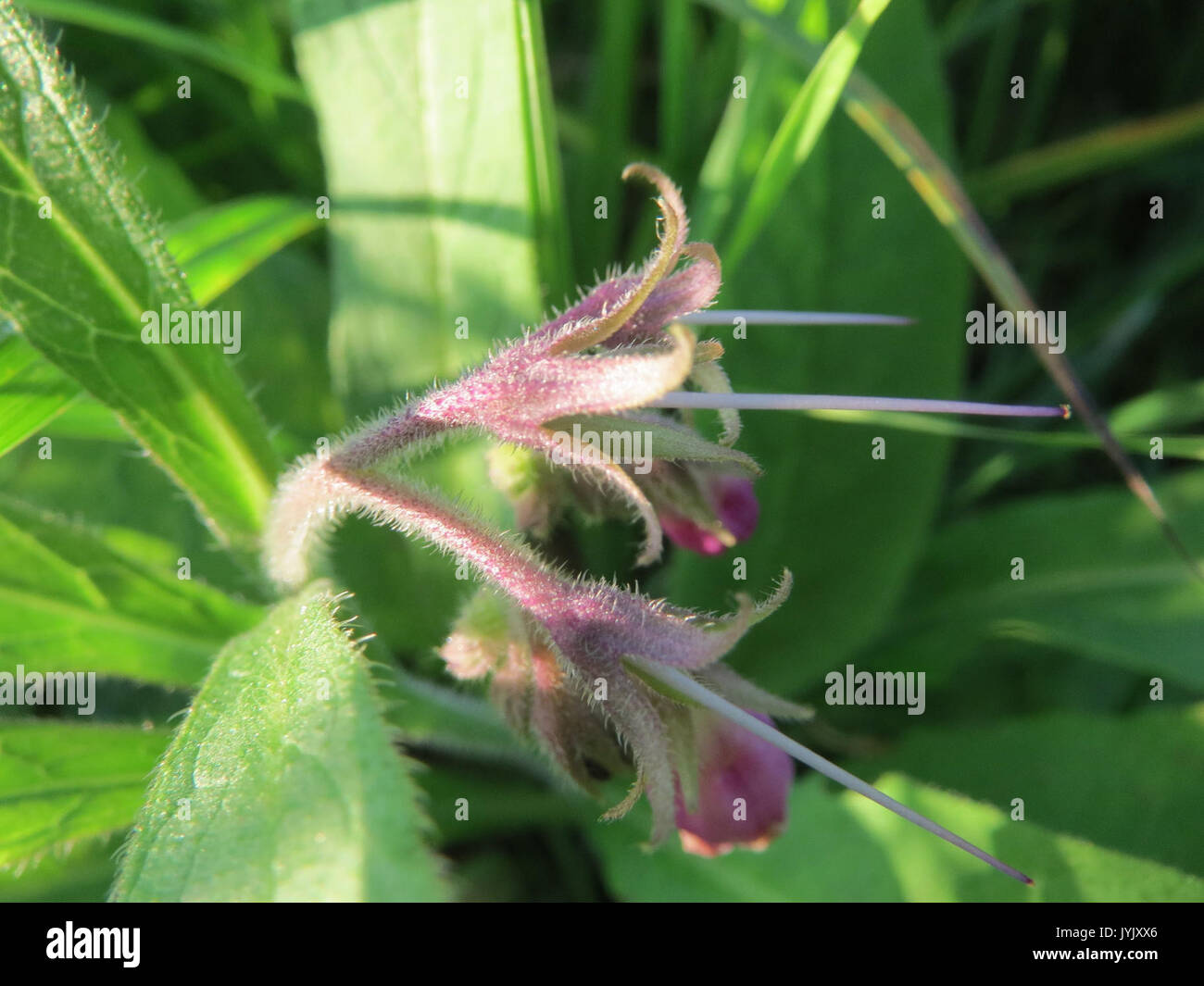 20161026consolida7 Foto Stock