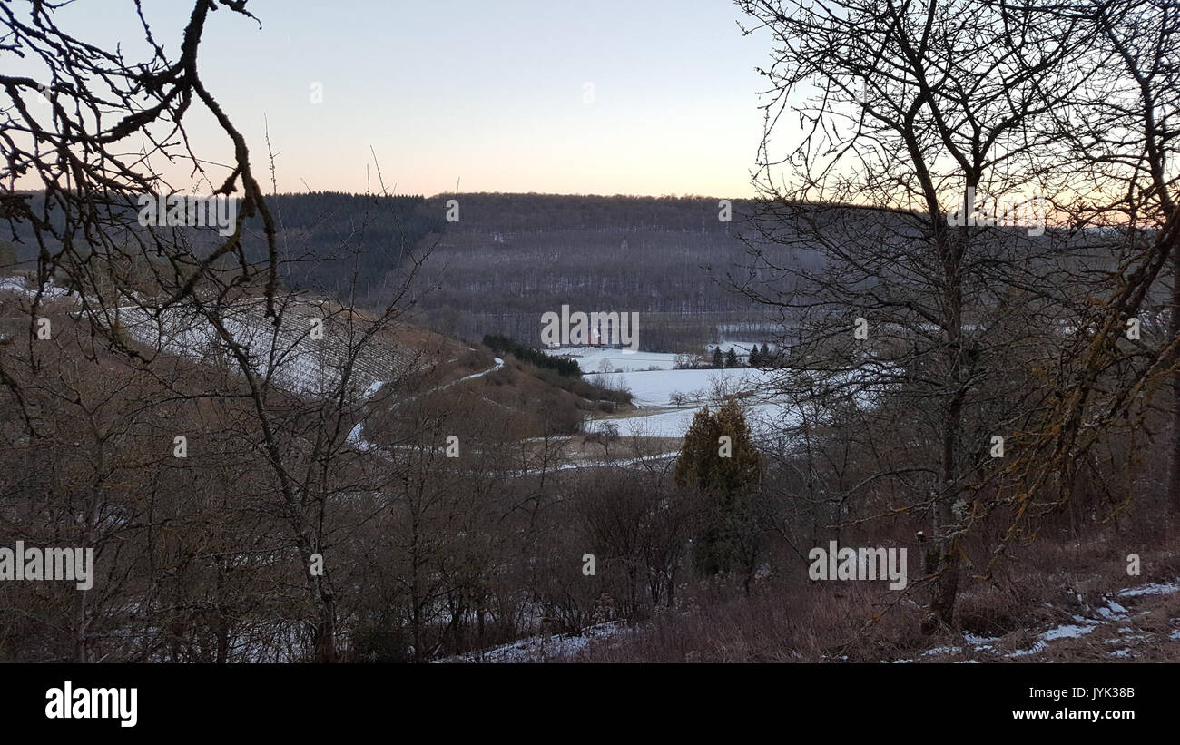2017 01 20 Blick auf die im Liebfrauenbrunnkapelle Inverno 1 Foto Stock