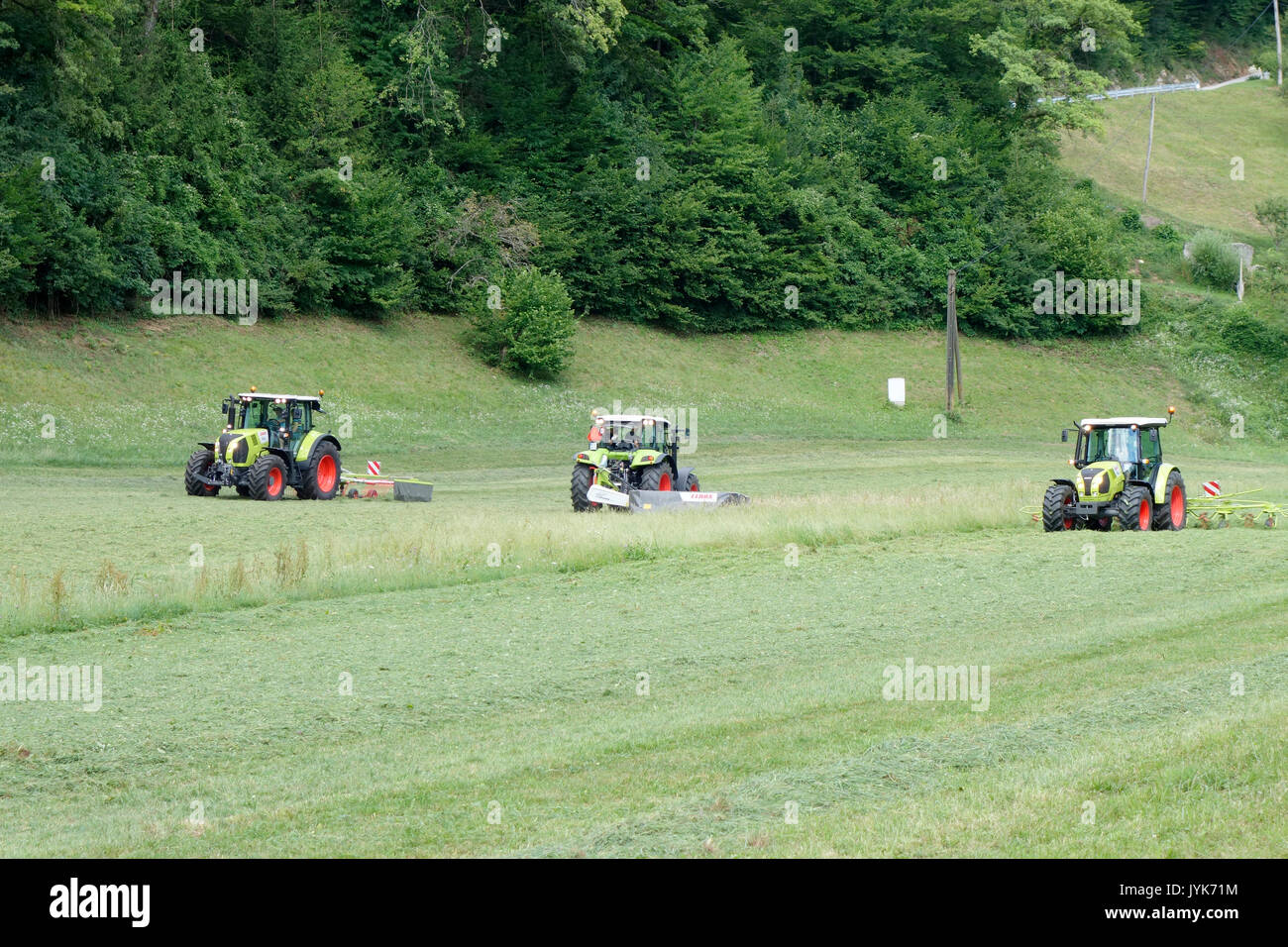 Tre trattori nel team di lavoro sul campo. (Falciatrice- Trincia semovente, Tedder e andanatrici,) Foto Stock