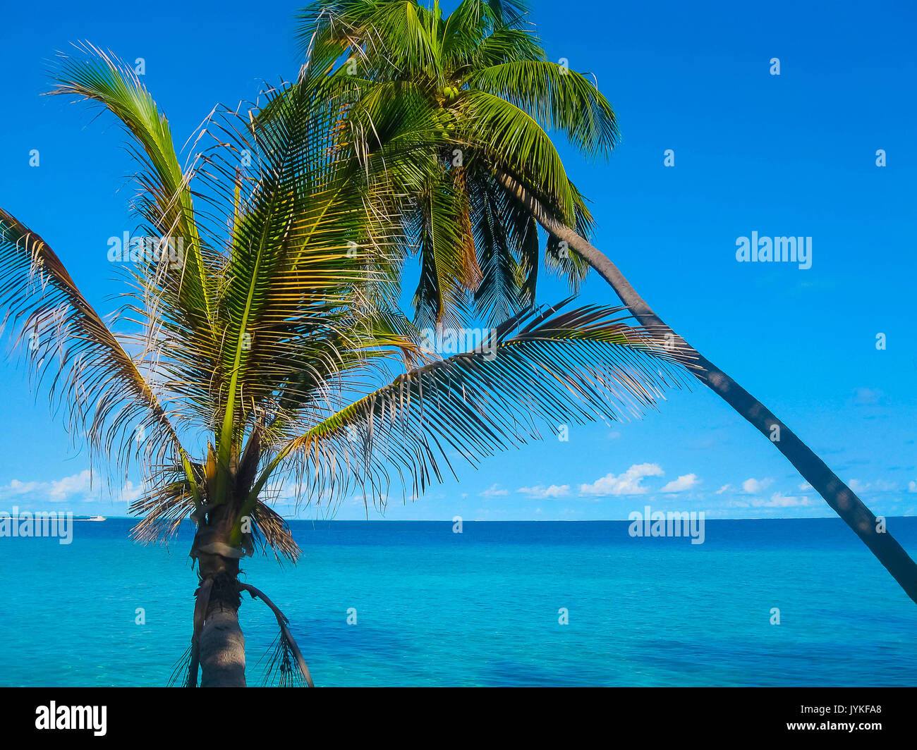 Villaggio Embudu Island, Maledives, Oceano Indiano Foto Stock