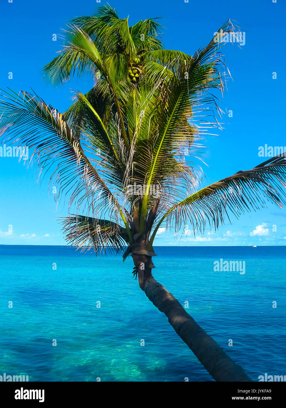 Villaggio Embudu Island, Maledives, Oceano Indiano Foto Stock
